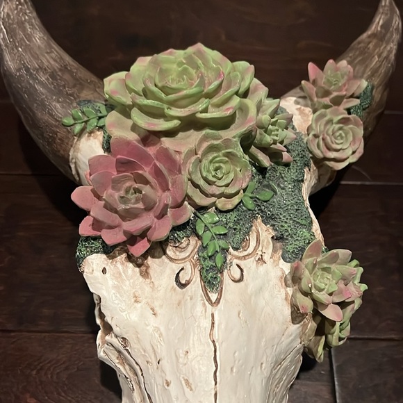 Resin skull and succulents 18” EUC - Picture 4 of 9